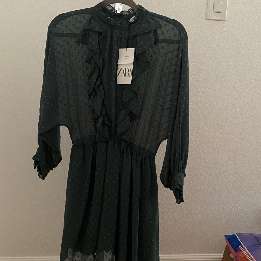 Zara Chiffon Emerald Green Sheer Ruffled Dress